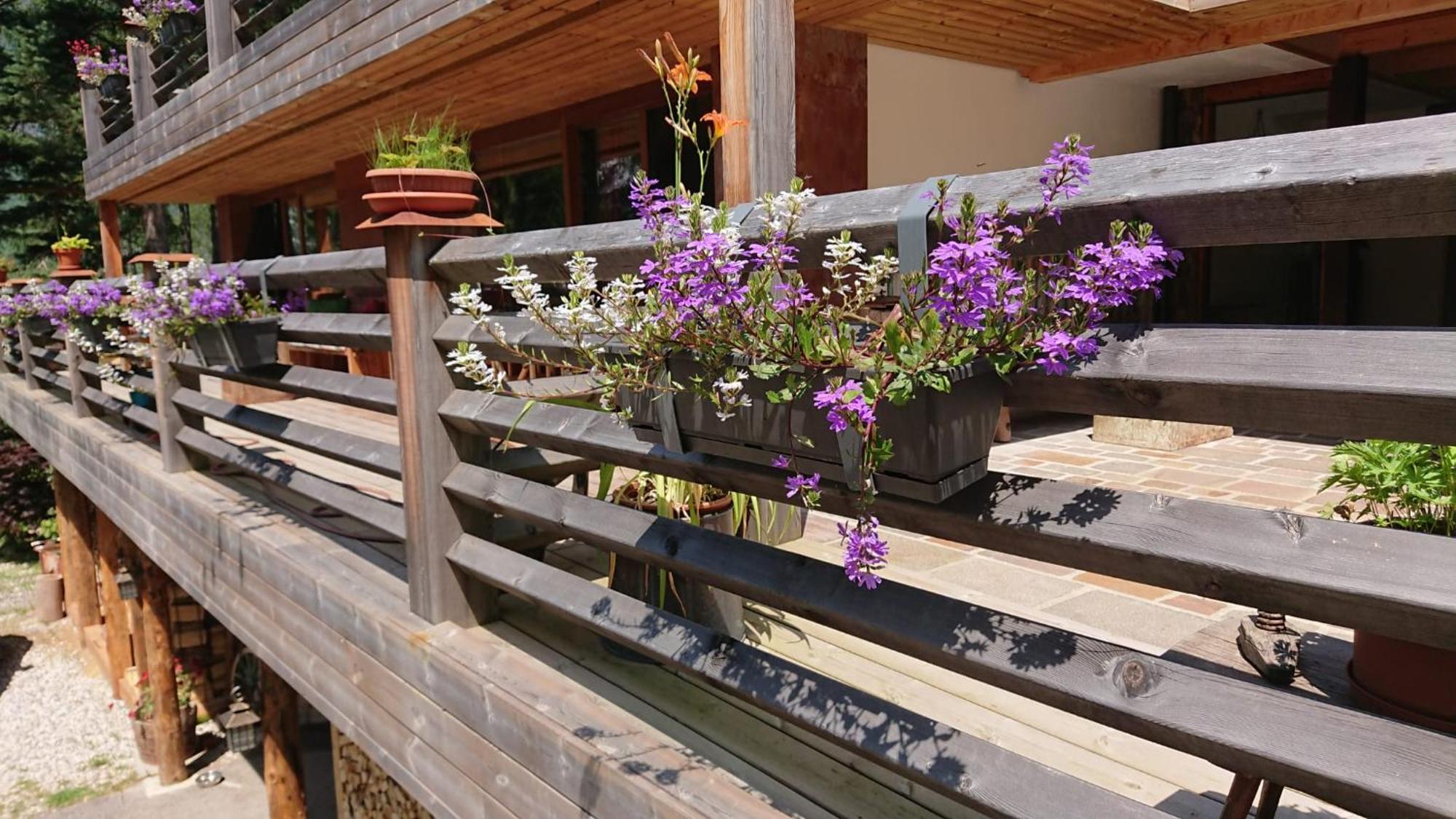 Villa Bosca - Adults Only Predazzo Exterior photo