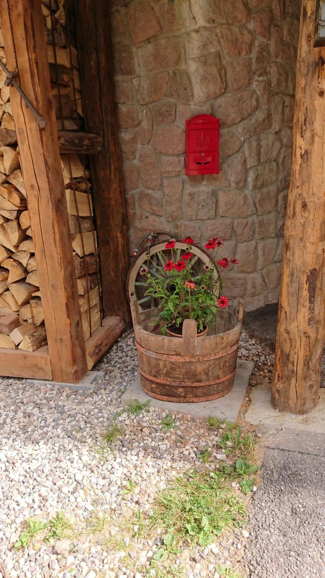 Villa Bosca - Adults Only Predazzo Exterior photo